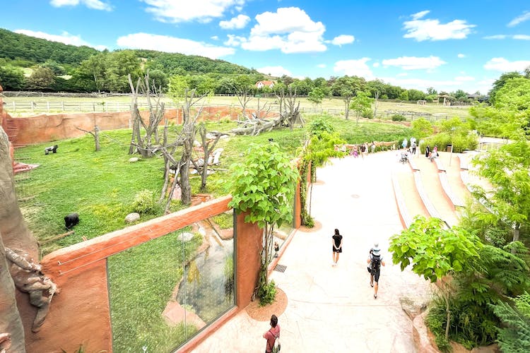 Entrada al zoo de Praga con audioguía en línea