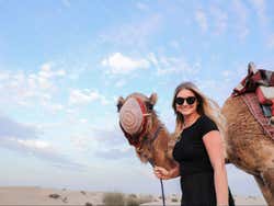 Dubai Desert Safari + Dinner & Show