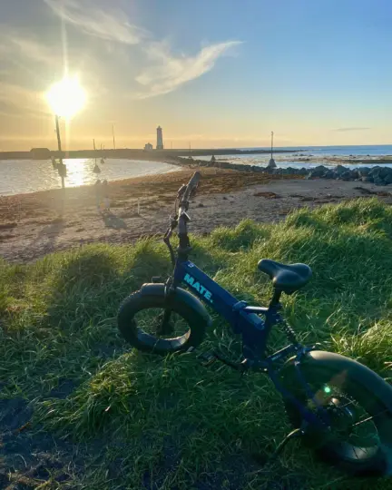 Reykjavik: EBike Tour of Nature, Coast, and City