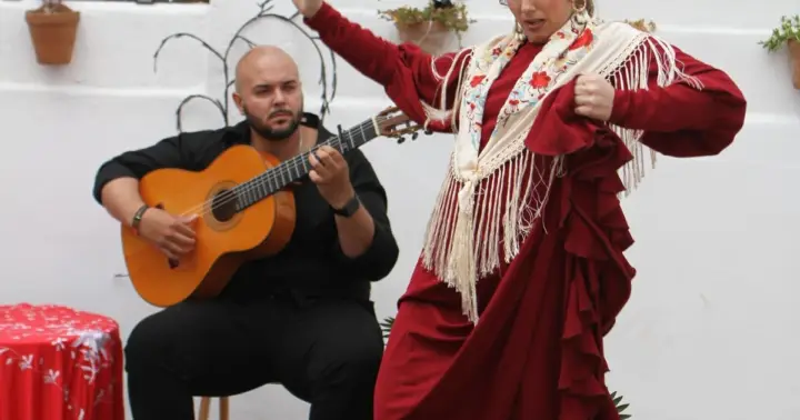 Flamenco íntimo: Experiencia exclusiva en Sevilla