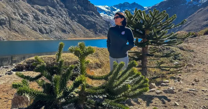 Santiago: Cajón del Maipo Tour with Hike and Brunch