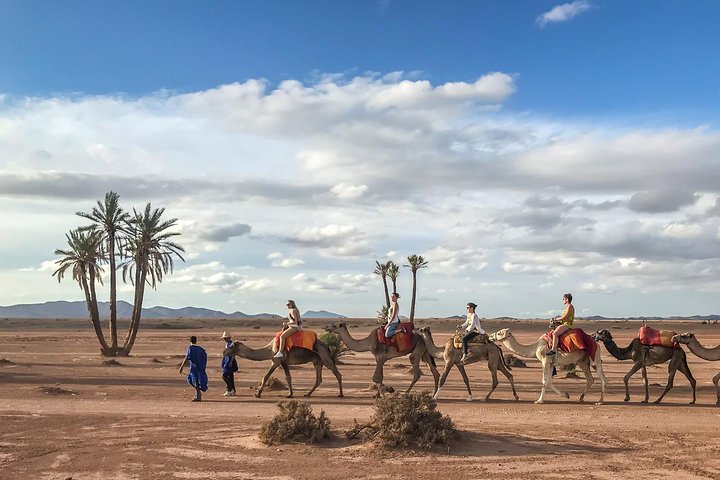 Actividades principales: Paseo en camello al atardecer en el Palmeral de Marrakech