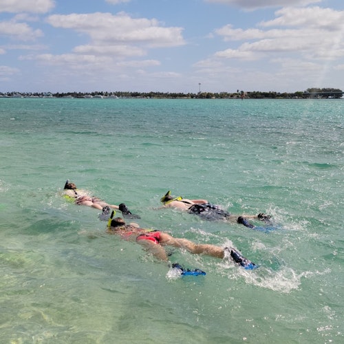Miami: Island Snorkeling Tour by SUP or Kayak