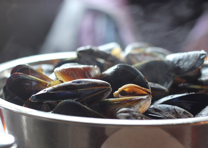 Ruta por la ría de Vigo con cata de mejillones y vino de Cangas