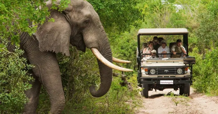 2-Day Mikumi Safari Adventure from Dar es Salaam