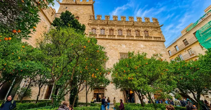 Valencia: tour guiado por el casco antiguo.
