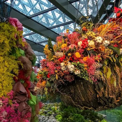 Jardines de la Bahía: Entrada al Observatorio del Superárbol