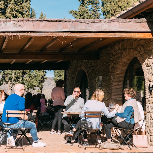 Chianti: Visita Guiada al Vino desde Florencia + Degustación