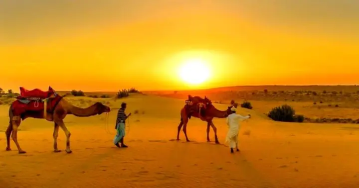 Desde Marrakech: Cena Puesta de Sol en el Desierto de Agafay, Estrellas y Espectáculo