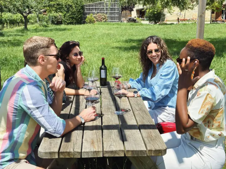 Bordeaux: Half-Day Private Natural Wine Tour & Tasting