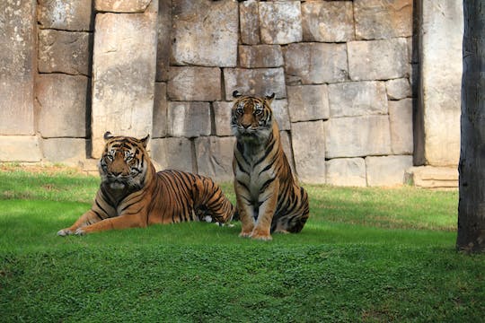 Entradas Bioparc Fuengirola