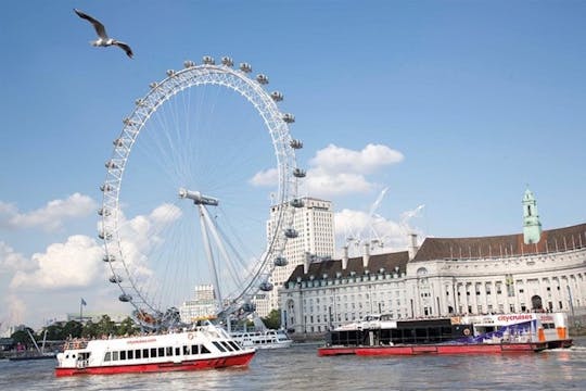 Harry Potter Walking Guided Tour with Thames Cruise and London Eye