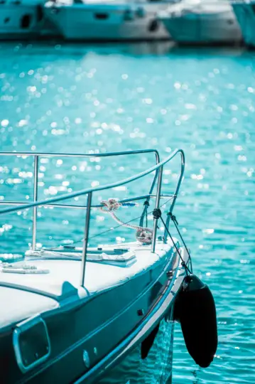 Benalmádena Tour en Catamarán: Degustación Tapas, Bebidas, Baños & Delfines