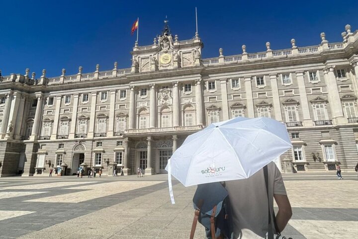 Tarde sin colas en el Palacio Real y recorrido histórico por Madrid