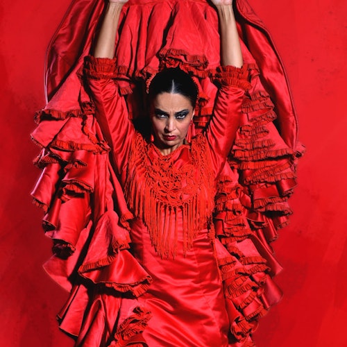 Teatro Flamenco Málaga: Espectáculo Flamenco