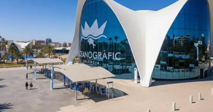 Skip-the-line Oceanogràfic València Private Guided Tour