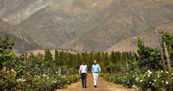 Santiago: Tour premium con degustación de vinos, Viña Aquitania