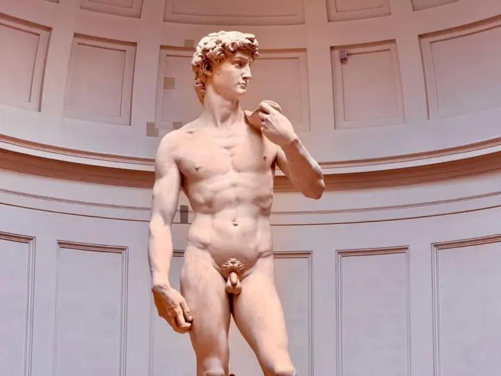 Florence: Accademia David Fast Track Skip the Line Tour