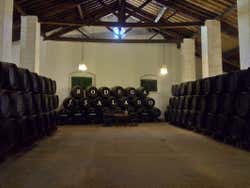 Excursión a una bodega tradicional