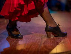 Flamenco en Albaicín: Jardines de Zoraya