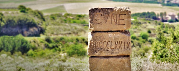 Excursión de un día completo a las bodegas de La Rioja desde Bilbao