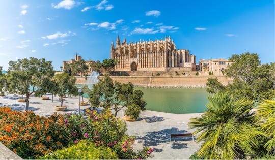 Palma de Mallorca: Visita en grupo reducido y Catedral por la vía rápida