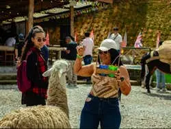 Tour en tuk tuk por Guatapé + Granja Alto del Chocho