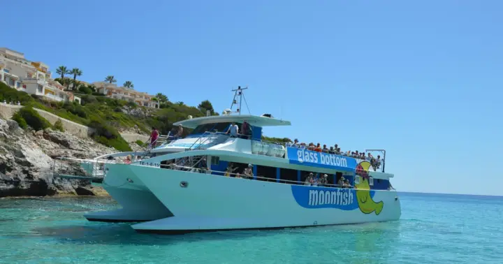 Mallorca: Glass-Bottom Catamaran Along the East Coast