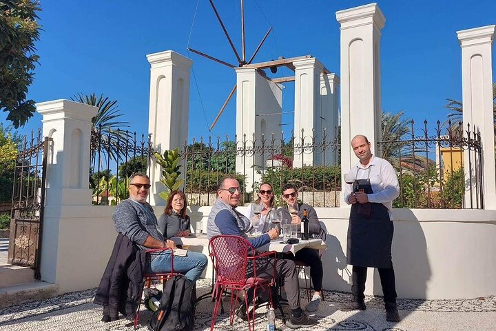 Tour privado de vino e historia medieval en Rodas