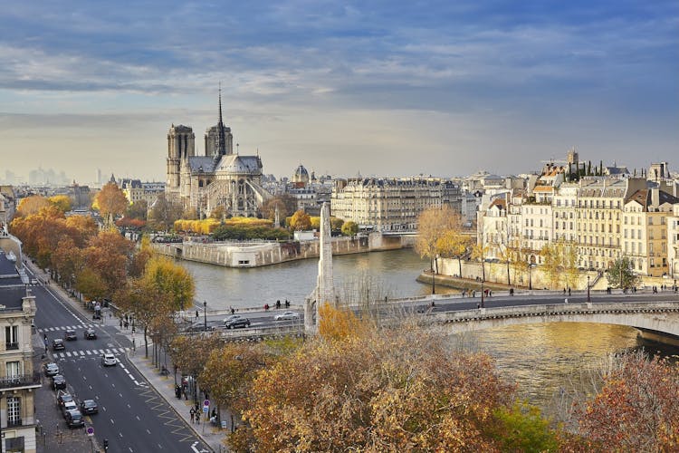 Visita en grupo reducido de la Île de la Cité y la catedral de Notre Dame