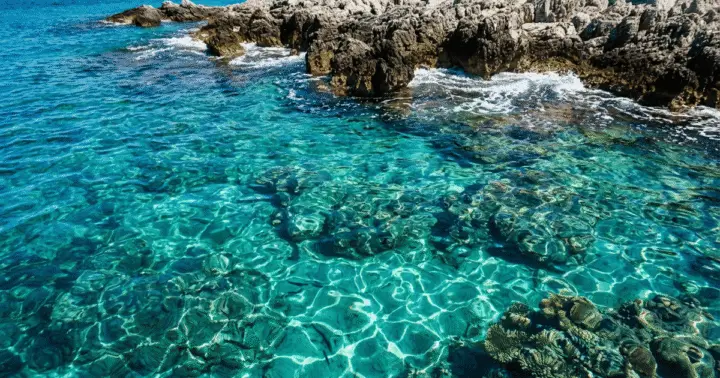 Escapada a la bahía de Kotor: Cueva Azul, playa y tiempo para nadar