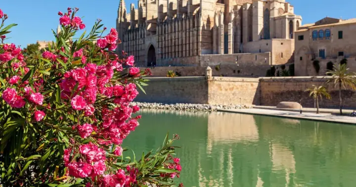 Hola, Palma: tour privado de 2 horas para descubrir la ciudad con guía local