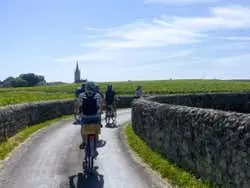 Saint Emilion Vineyards Bike Tour