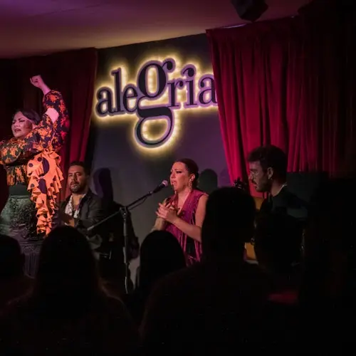 Alegría Málaga: Espectáculo Flamenco