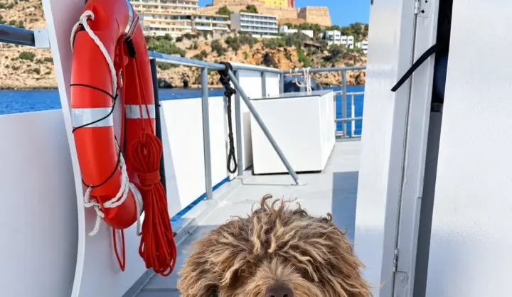 Ibiza Town: Paseo panorámico en barco por la costa hasta Playa d’en Bossa.