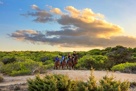 Paseo a caballo de dos horas por Rancho Grande sin traslado