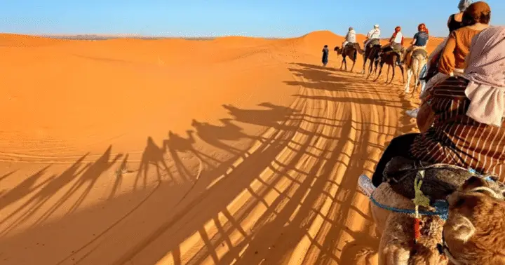 From Marrakech: 3 Day Round Trip To Merzouga Desert & Camel