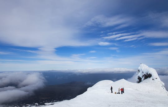 Excursión de un día por la costa sur y los glaciares