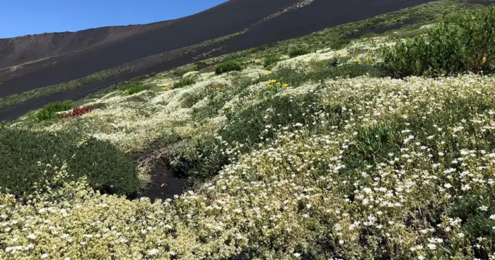 Etna: tour en 4x4 al atardecer con «aperidulce» y cueva volcánica