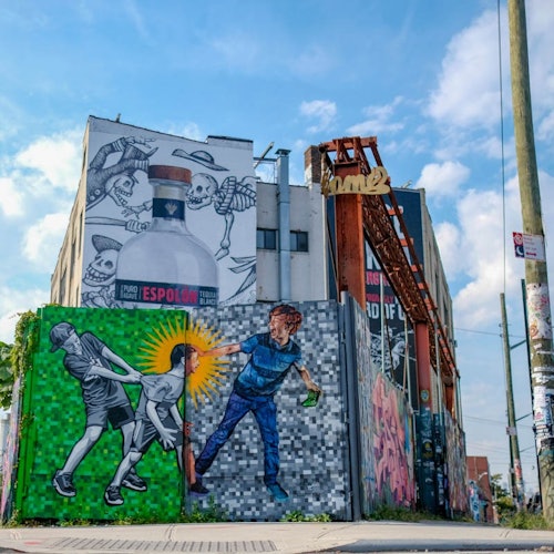 New York: Bushwick and Williamsburg Guided Street Art & Culture Tour