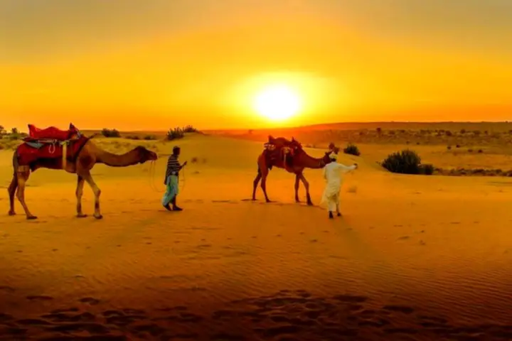 Desde Marrakech: Cena Puesta de Sol en el Desierto de Agafay, Estrellas y Espectáculo