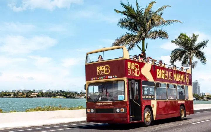 Miami: Hop-on Hop-off Open-top Bus Tour with Optional Cruise