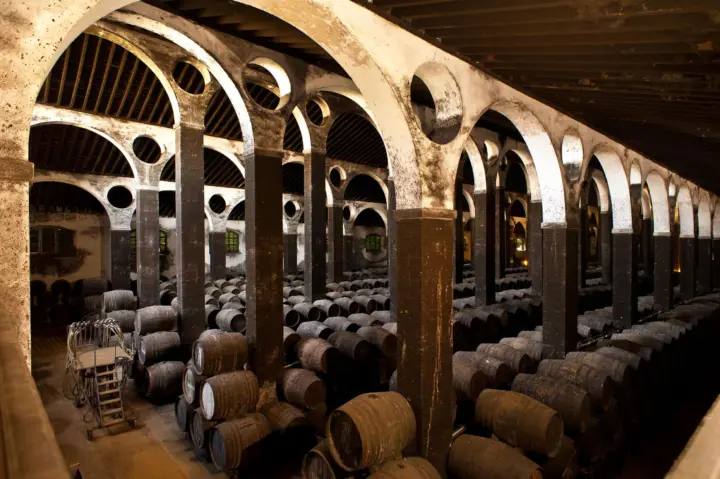 Cádiz: tour por Bodegas Barbadillo y cata de vino