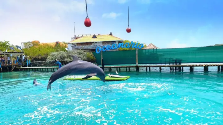 CARTAGENA: 4 islands by sport boat +oceanarium tickets
