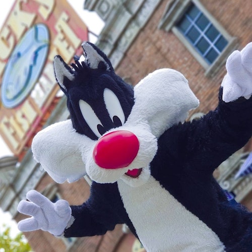 Parque Warner Madrid: Day Trip from Madrid