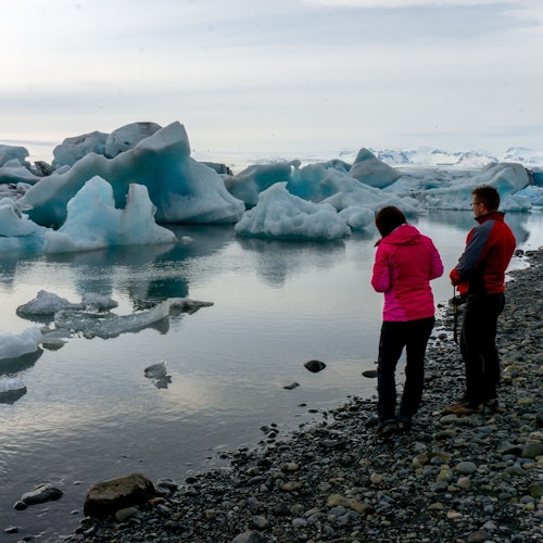 Laguna del Glaciar Jökulsárlón: Excursión guiada de día completo desde Reikiavik