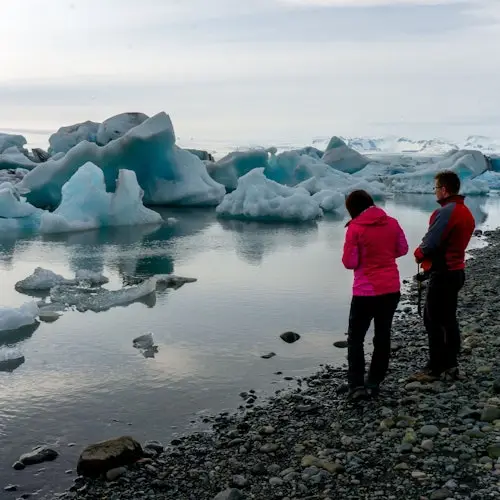 Laguna del Glaciar Jökulsárlón: Excursión guiada de día completo desde Reikiavik