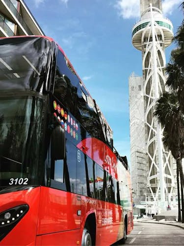 24-Hour 3 Lines Hop-On Hop-Off Tour and Digital Walking Tour