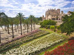 Tour por Palma y su catedral