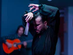 Espectáculo flamenco en el tablao Alegría